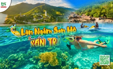 Lặn ngắm san hô Sơn Trà Đà Nẵng: Có đáng đi không? Giá vé & kinh nghiệm thực tế