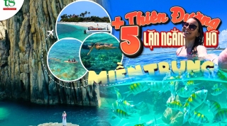 Top 5 Thiên Đường Lặn Ngắm San Hô Đẹp Nhất Miền Trung 2026