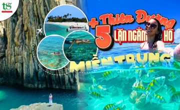 Top 5 Thiên Đường Lặn Ngắm San Hô Đẹp Nhất Miền Trung 2026