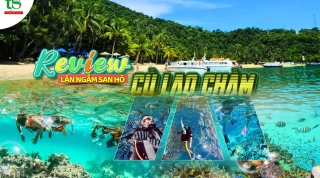Lặn Ngắm San Hô Cù Lao Chàm 2026: Review Thực Tế & Kinh Nghiệm Chi Tiết