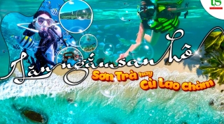 Sơn Trà Hay Cù Lao Chàm? Lặn Ngắm San Hô Ở Đâu Đẹp Hơn?