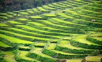 Hà Nội-Mai Châu-Mộc Châu