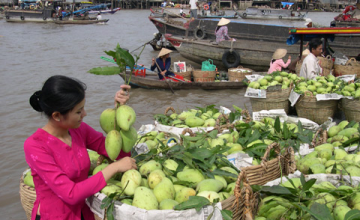 Cần Thơ-Sóc Trăng-Năm Căn-Đất Mũi