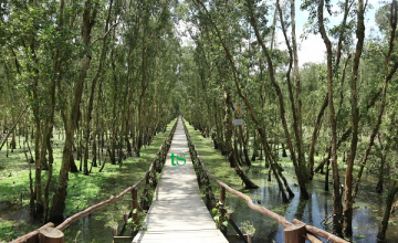 TOUR CẦN THƠ – CHÂU ĐỐC – TRÀ SƯ 1 NGÀY