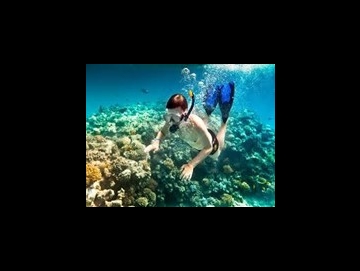 Tour Cù Lao Chàm 2 ngày 1 đêm chất lượng cao - Trải nghiệm xanh – không túi nilon