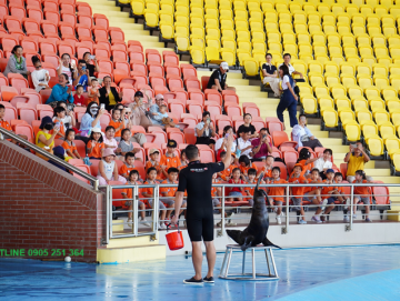 Đặt vé show diễn cá heo Dolphinarium thiên đường Cổ Cò Đà Nẵng 