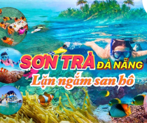 Combo lặn ngắm san hô Sơn Trà Giá chỉ 350.000Đ