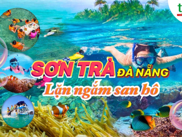 Combo lặn ngắm san hô Sơn Trà Giá chỉ 350.000Đ