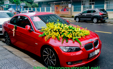 Thuê xe BMW Mui Trần cao cấp tại Đà Nẵng
