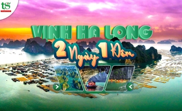 Tour du lịch Vịnh Hạ Long 2 ngày 1 đêm ưu đãi 2026