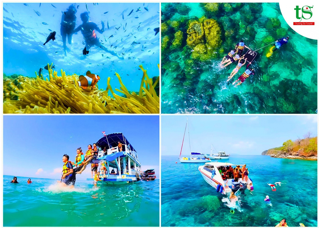 ve-phao-hoa-2026%20(11)